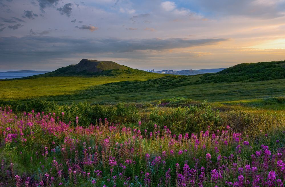 Photograph by Александр Алифанов