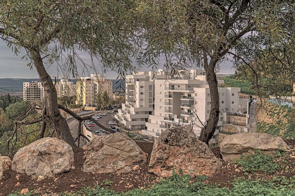 Photograph by Миша ?   ?  ?   ?  I s r a e l Г о п с ?     ✡️      ?