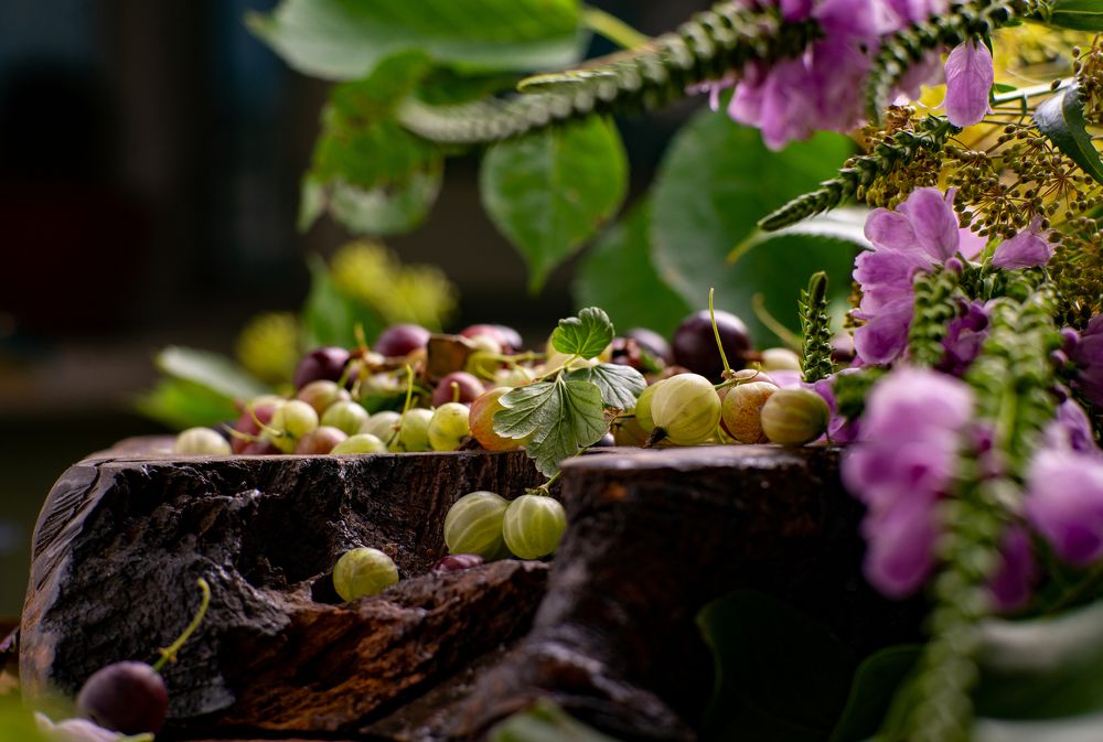 Photograph by Hanna Zapylaieva