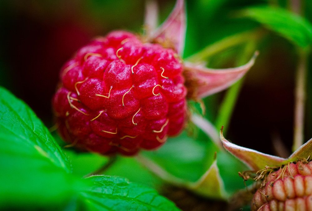 Photograph by Ирина