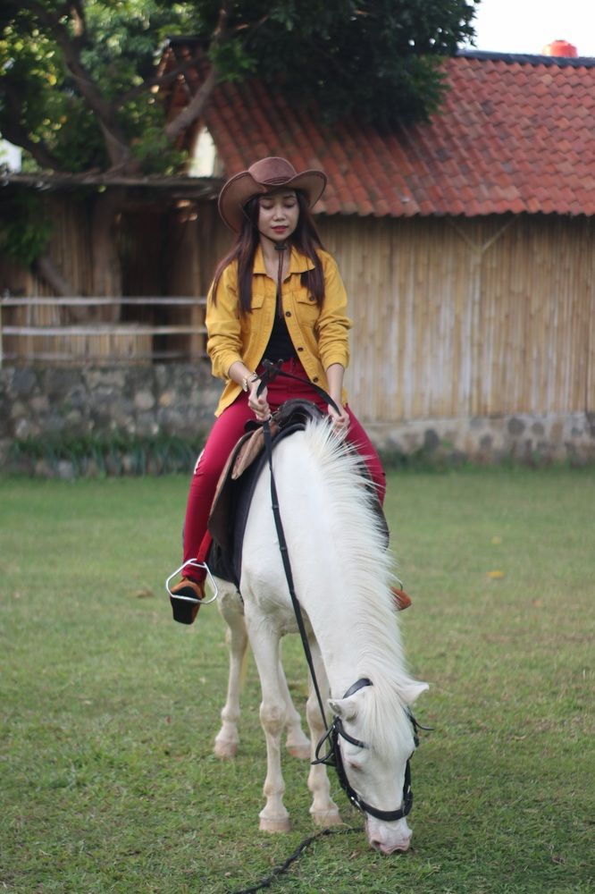 Фотография автора Ib Mang