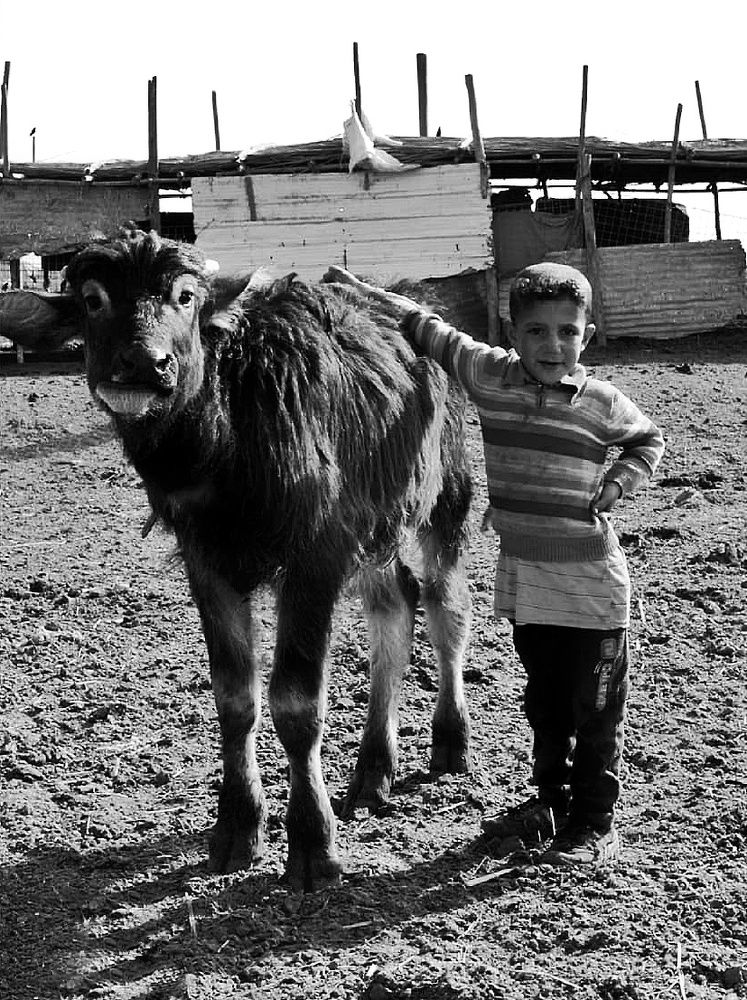 Photograph by علاء الاسدي