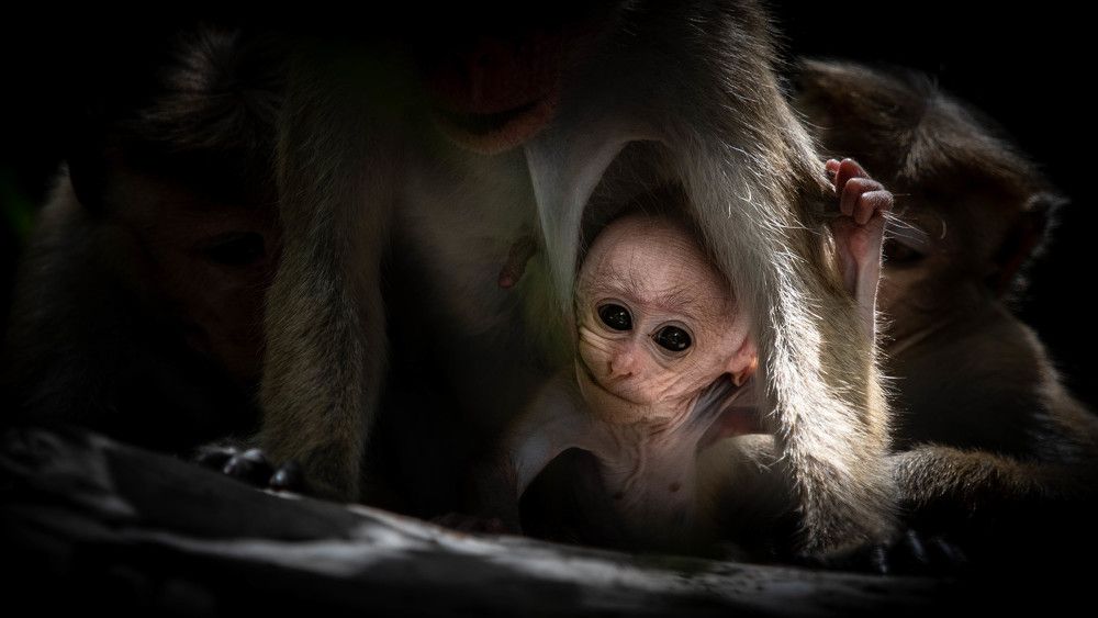 Photograph by Mishan Pravin Wijesinghe