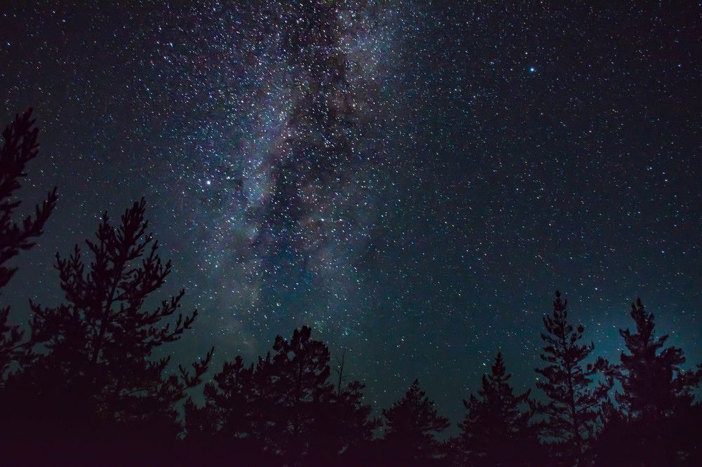 Photograph by Елена Прохорова