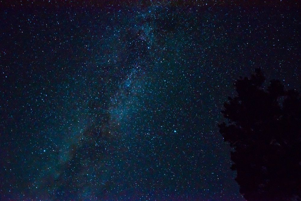 Photograph by Елена Прохорова