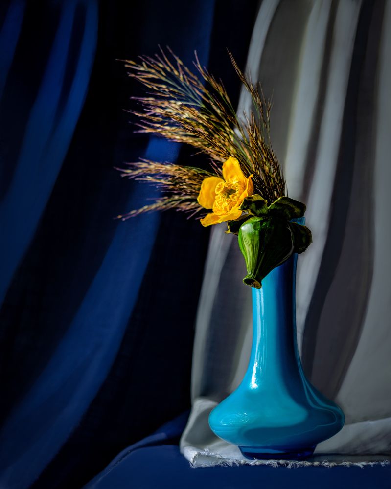 Утренняя прохлада