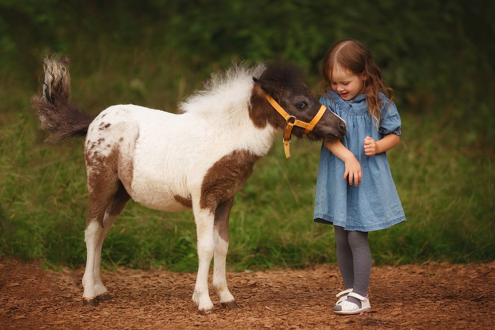 Photograph by Тамара Дмитриева
