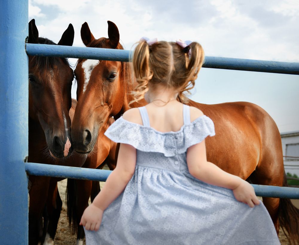 Photograph by Юлия Зенченко