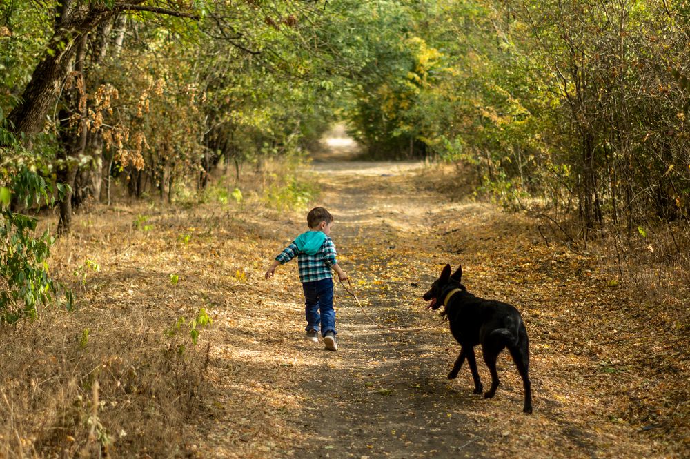 Варлам и Герда на прогулке