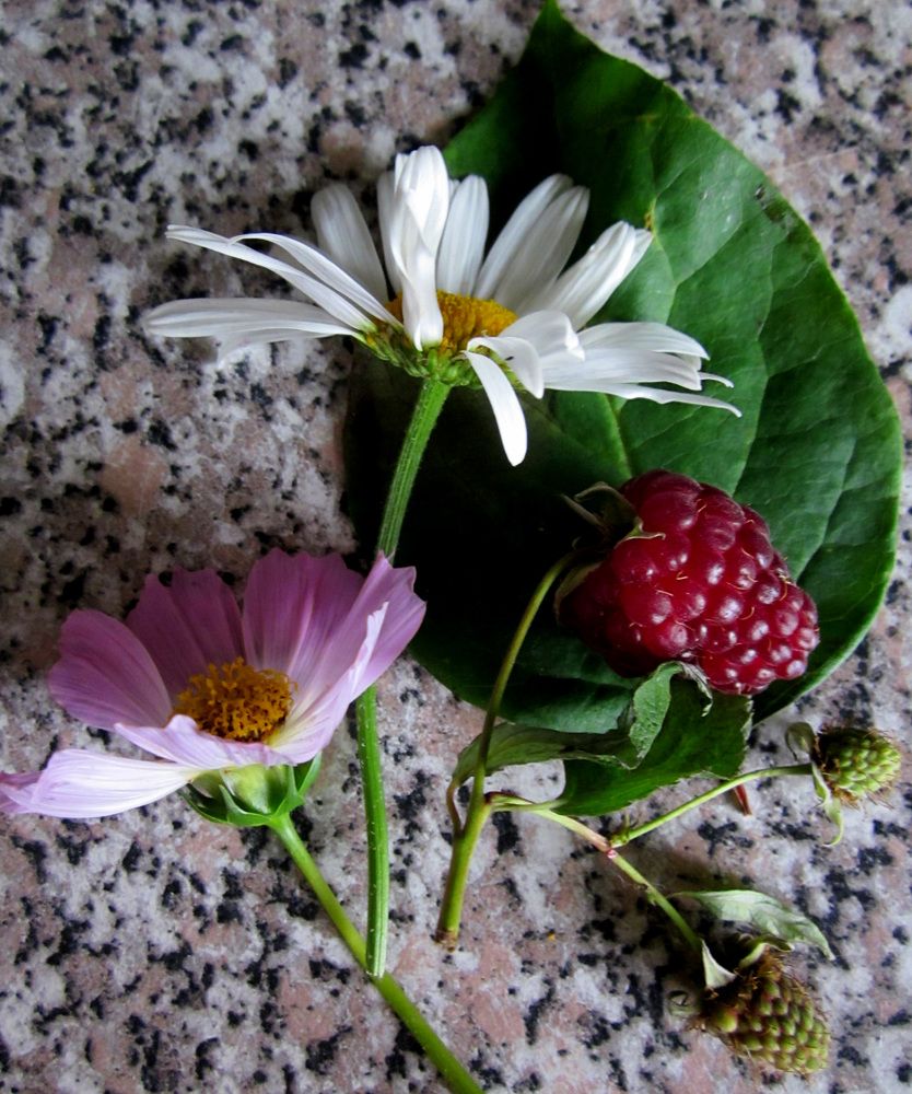 Photograph by Игорь Быков