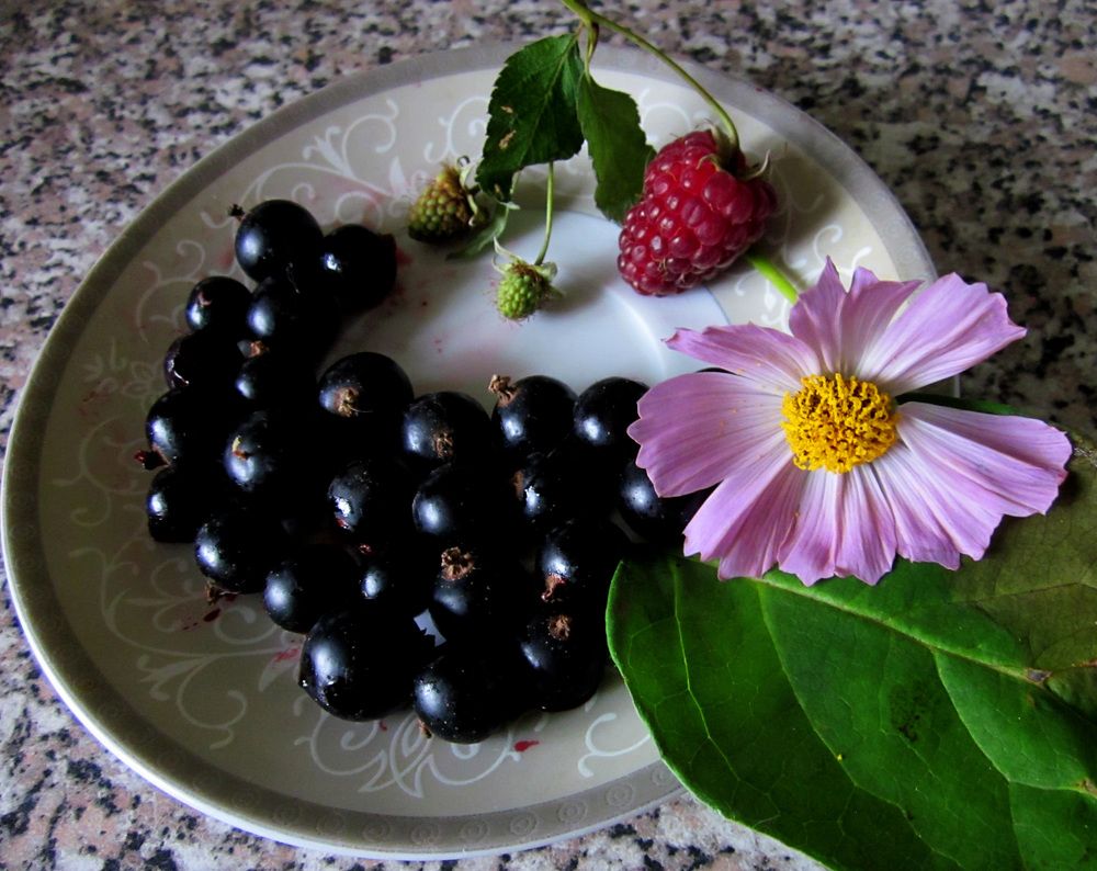 Photograph by Игорь Быков