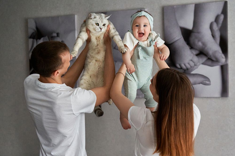 Photograph by Ростислав Непомнящий