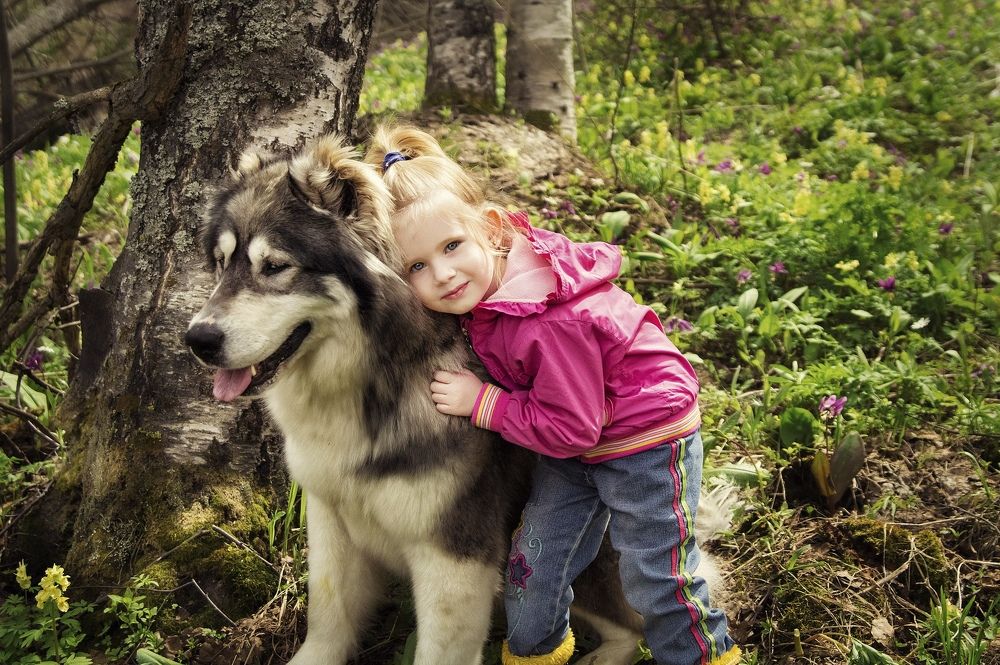 Photograph by Ольга Розенберг