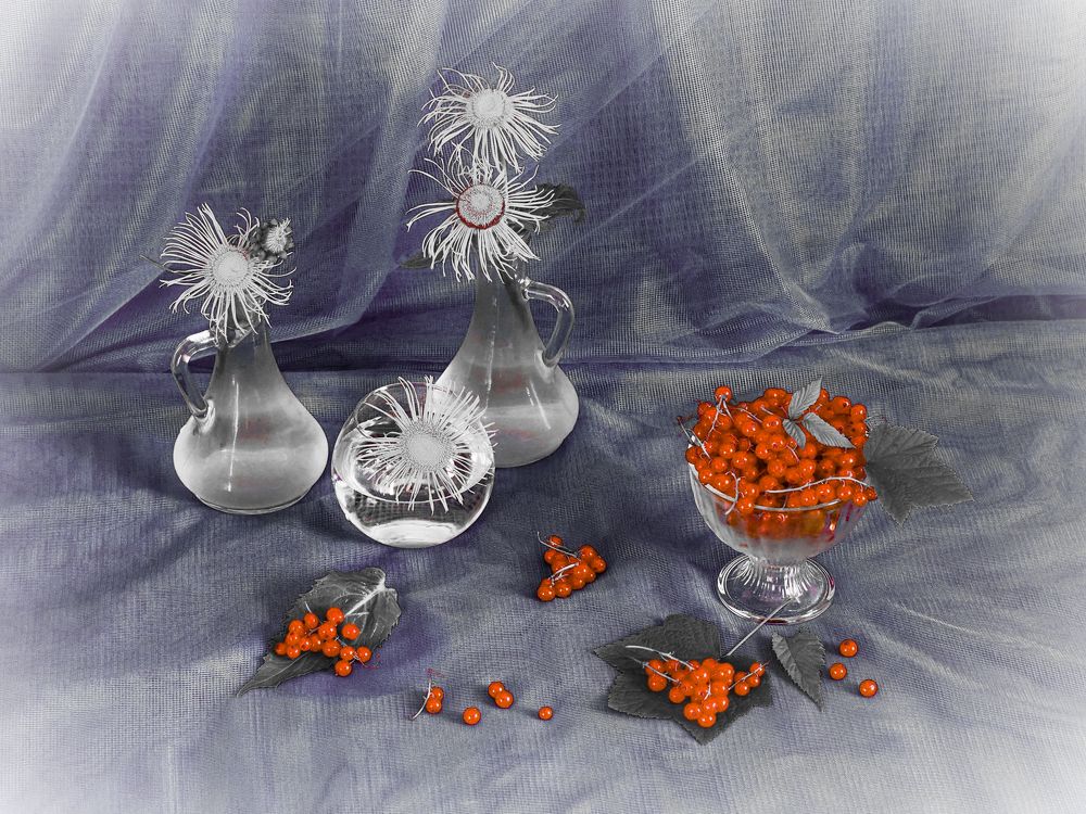 Фотография автора Olena Vorotyntseva