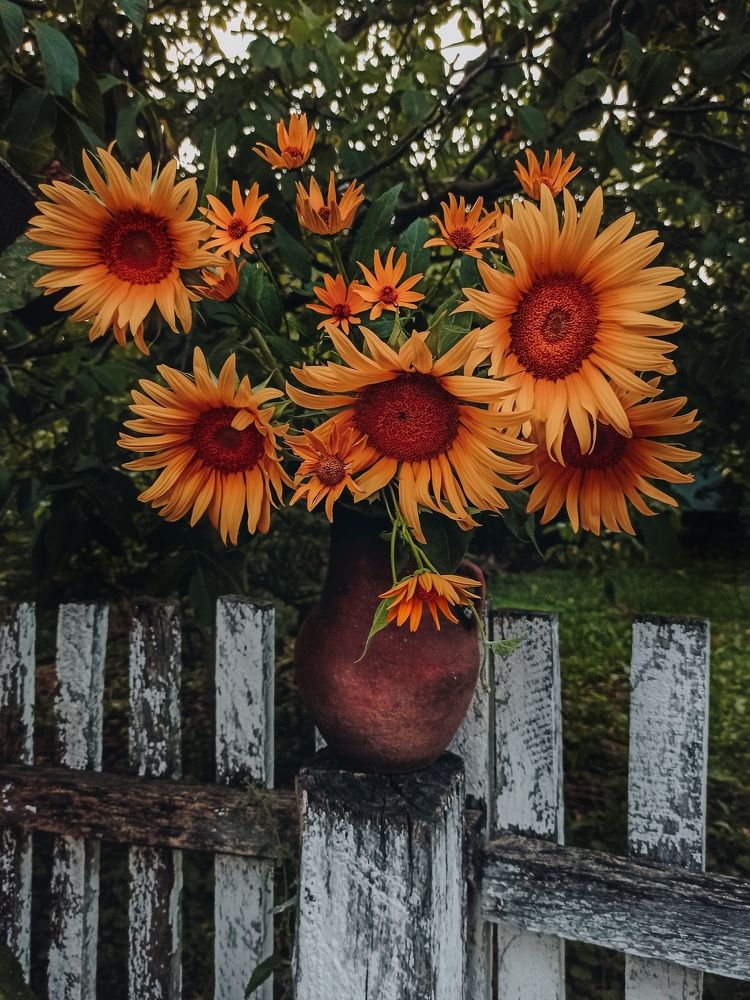 Photograph by Ира Талапчук