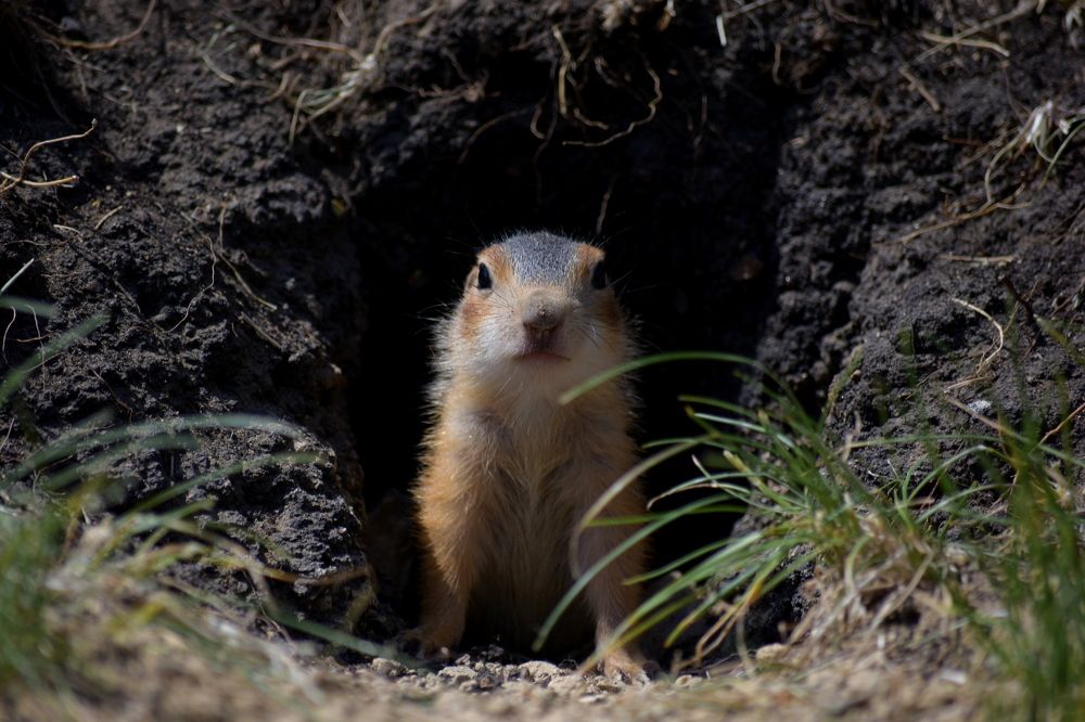 Фотография автора Катрин Евстратова