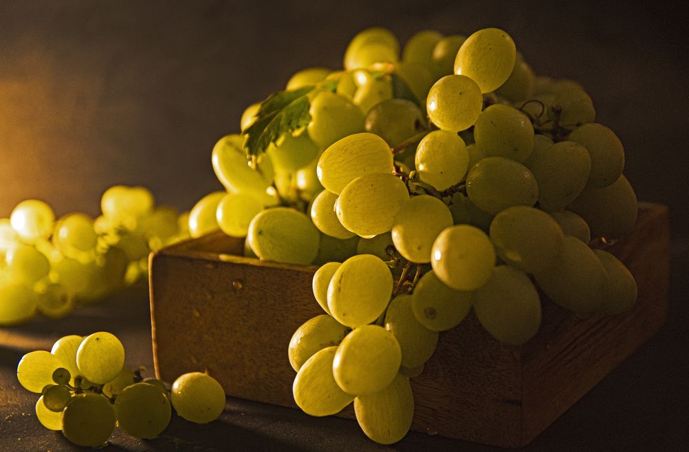 Photograph by Анна Васильева