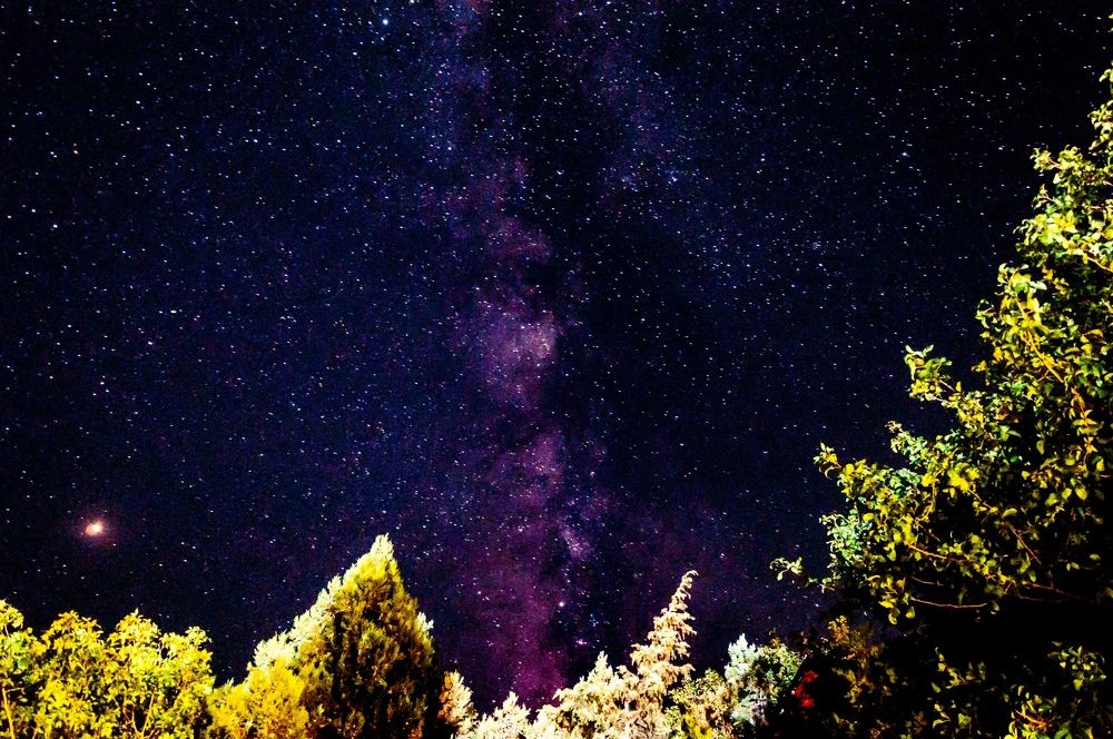 Photograph by Дарья Качалова