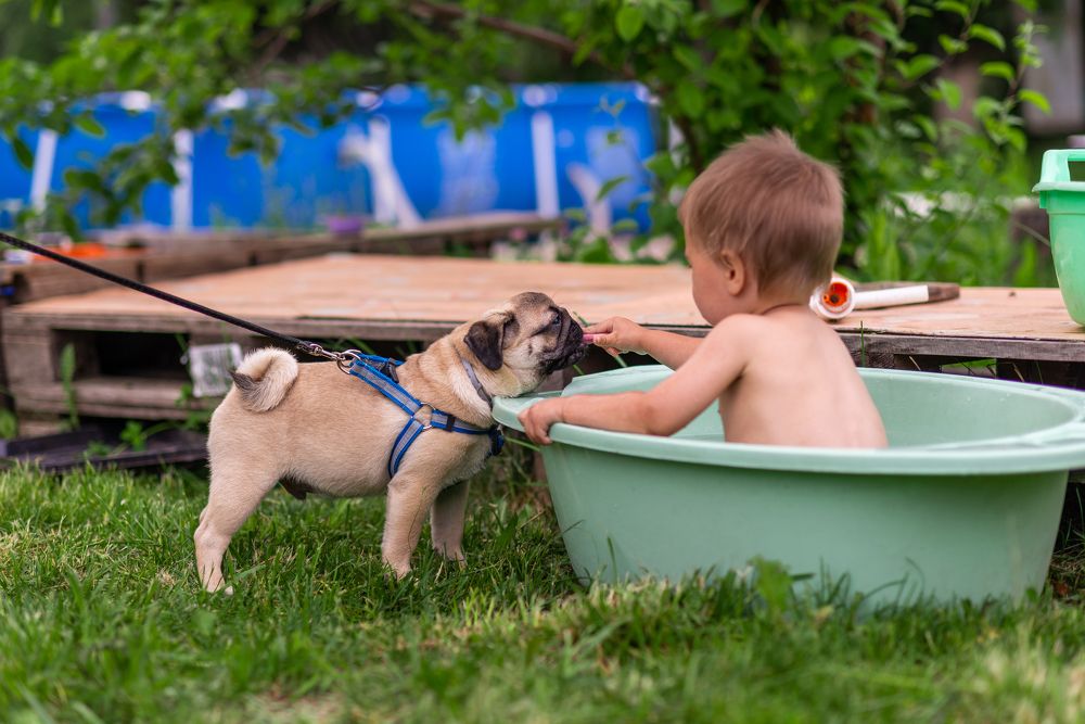 Photograph by Дарья Качалова