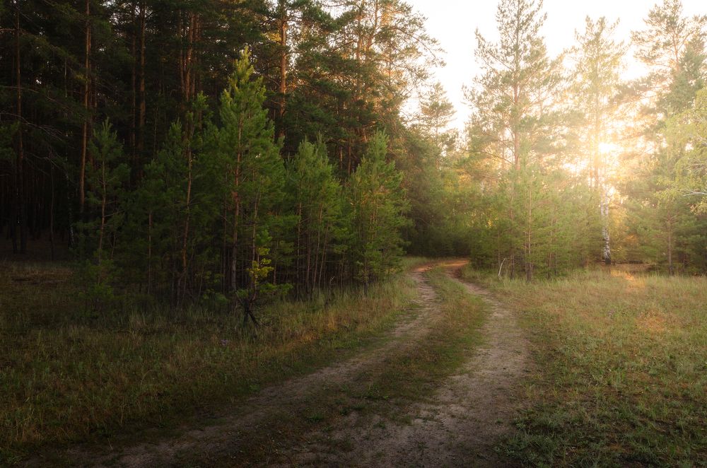 Магия рассвета