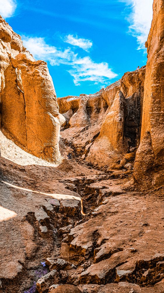 Фотография автора Nima Nezafat Yazdi