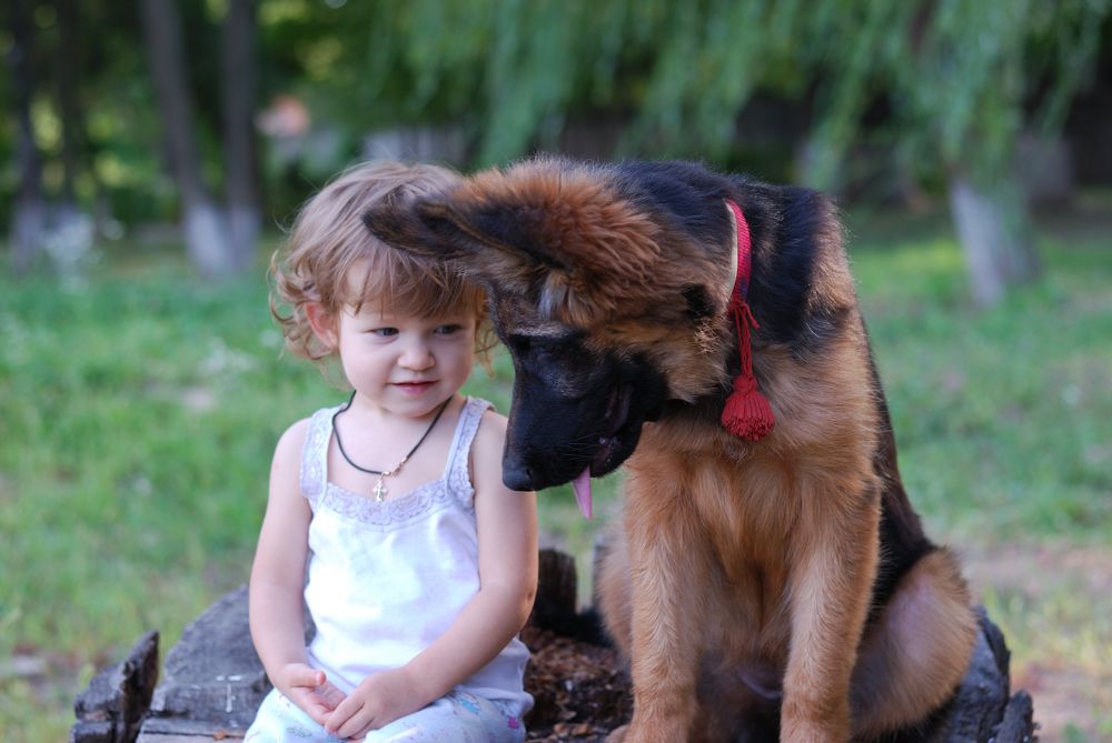 Photograph by Анна Айбетова