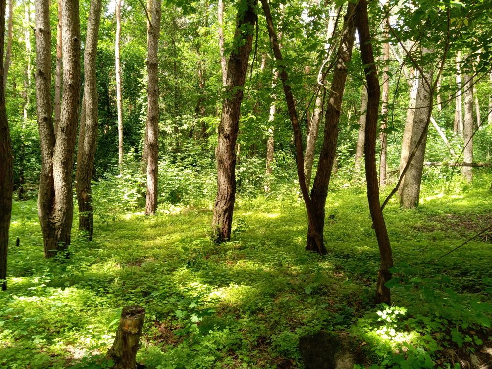 Photograph by Татьяна Пальчикова