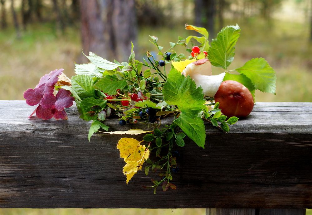 Photograph by Нэлли Обертынская