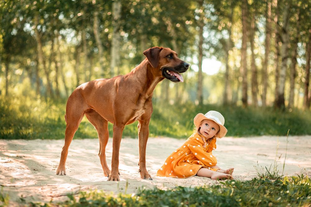 Под охраной