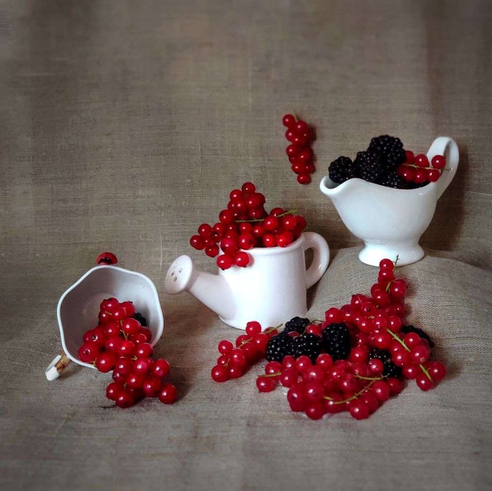 Photograph by Светлана Смирнова