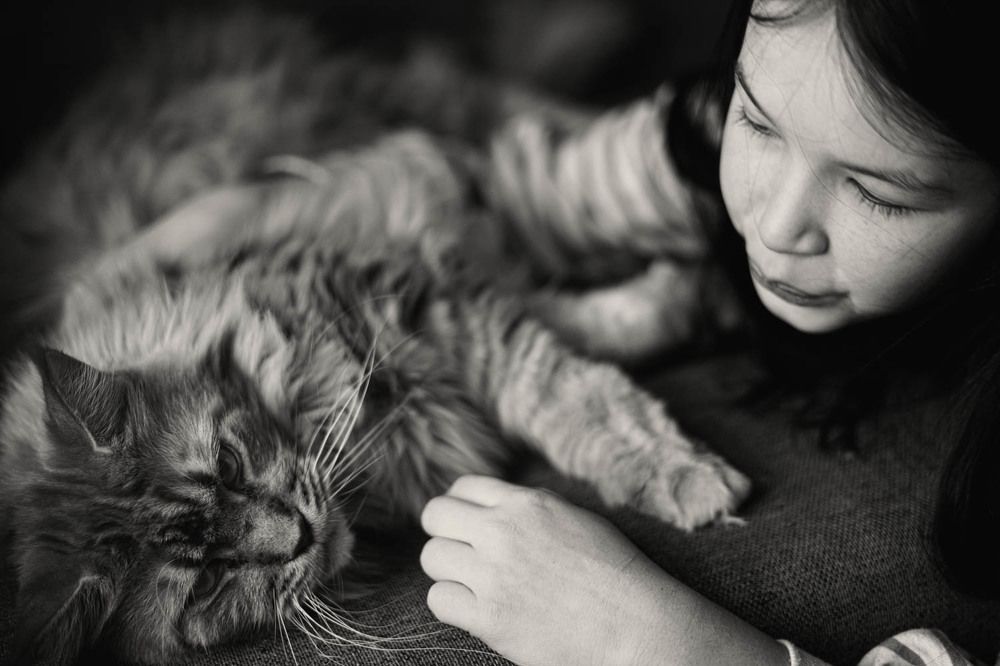 Photograph by Марина Айдакина