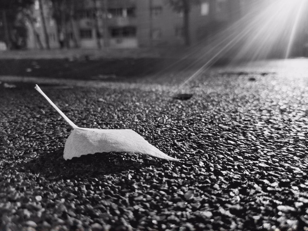 Photograph by Юрий Карач