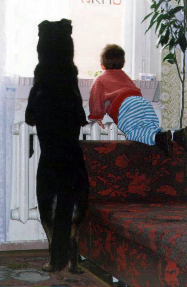 Photograph by Евгений Захаров