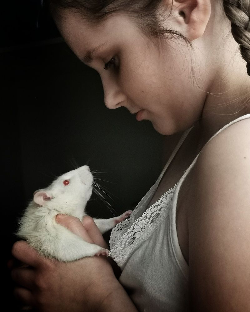 Photograph by Мария Бартош