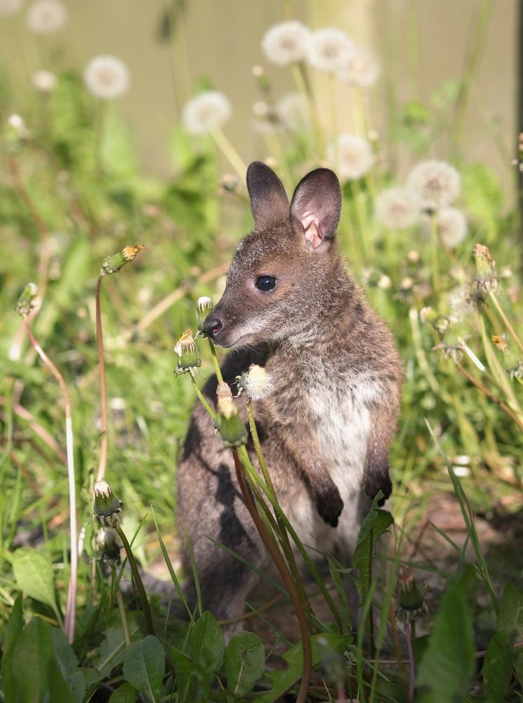 Photograph by Ирина Салминен