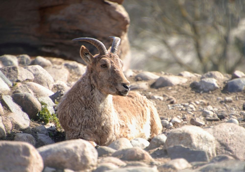 Photograph by Ирина Салминен