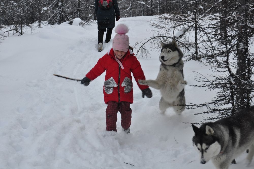 Photograph by Евгений Захаров