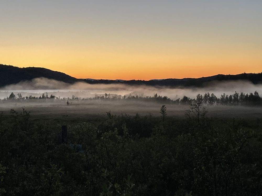 В одеяле тумана