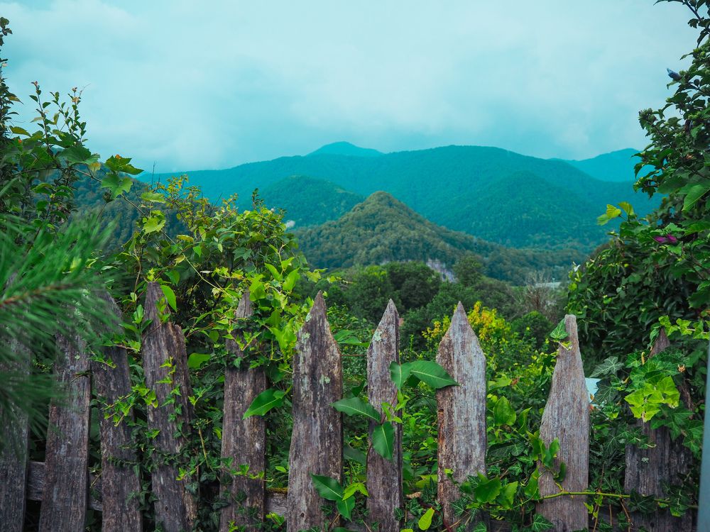 Photograph by Татьяна Осипова