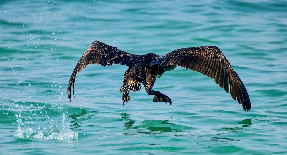 Photograph by Vishal Parmar