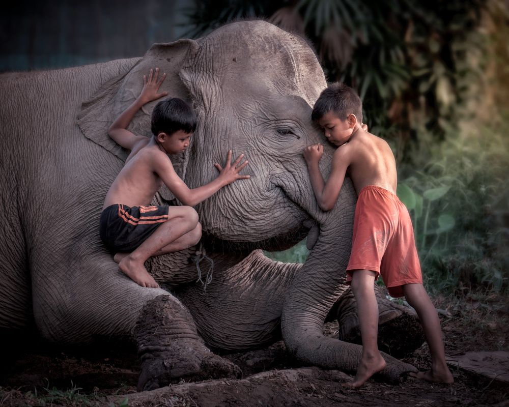 Photograph by Fira Kwan