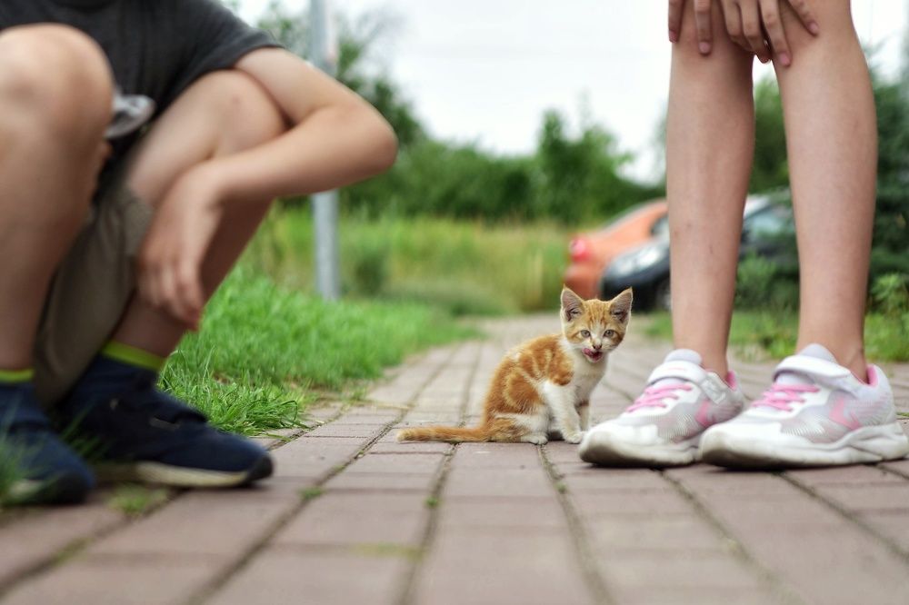 Photograph by Владимир Леликов-Кузьменко