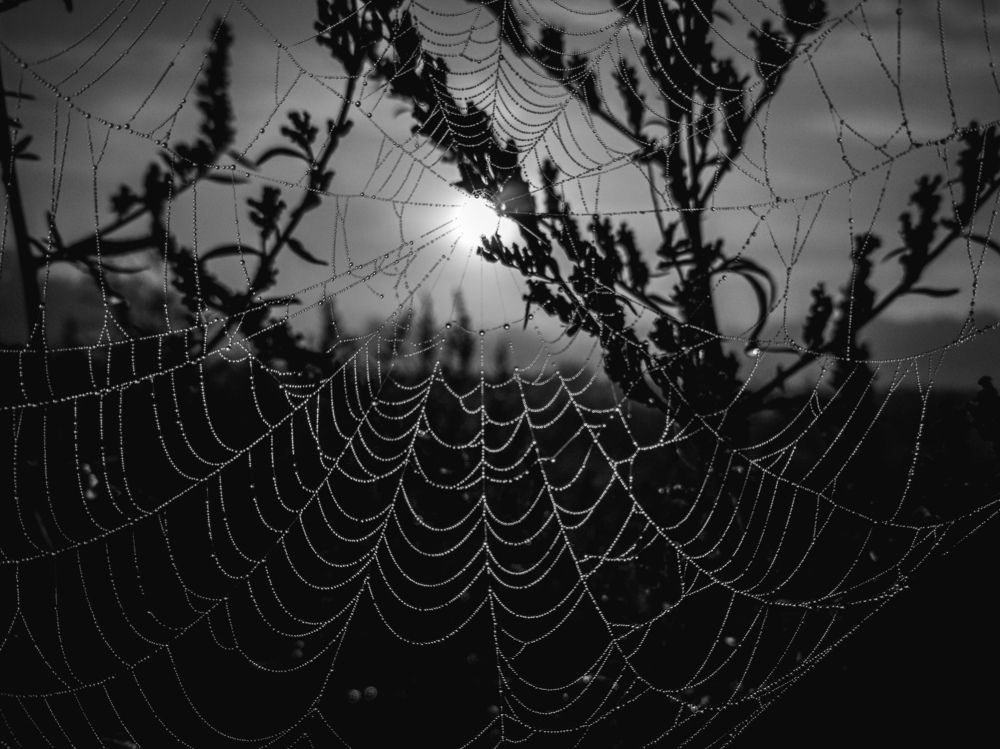 Photograph by Алексей Крукович