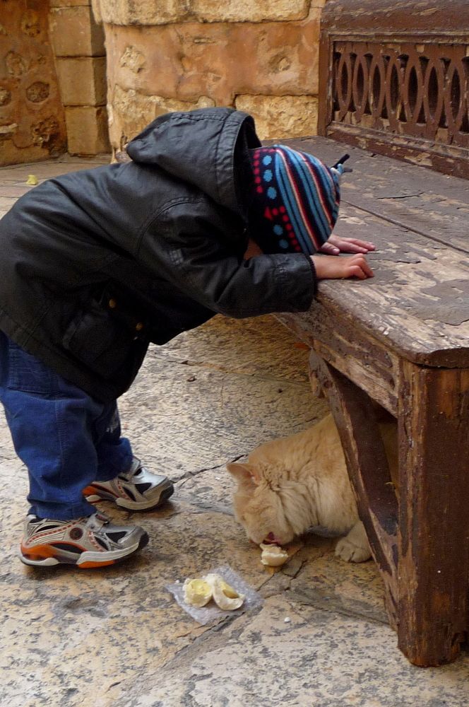 Photograph by Людмила Викулова