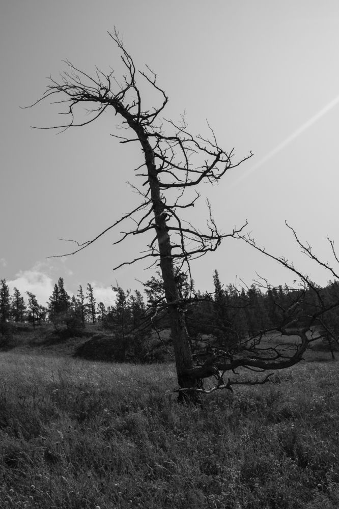 Photograph by Константин Искучеков