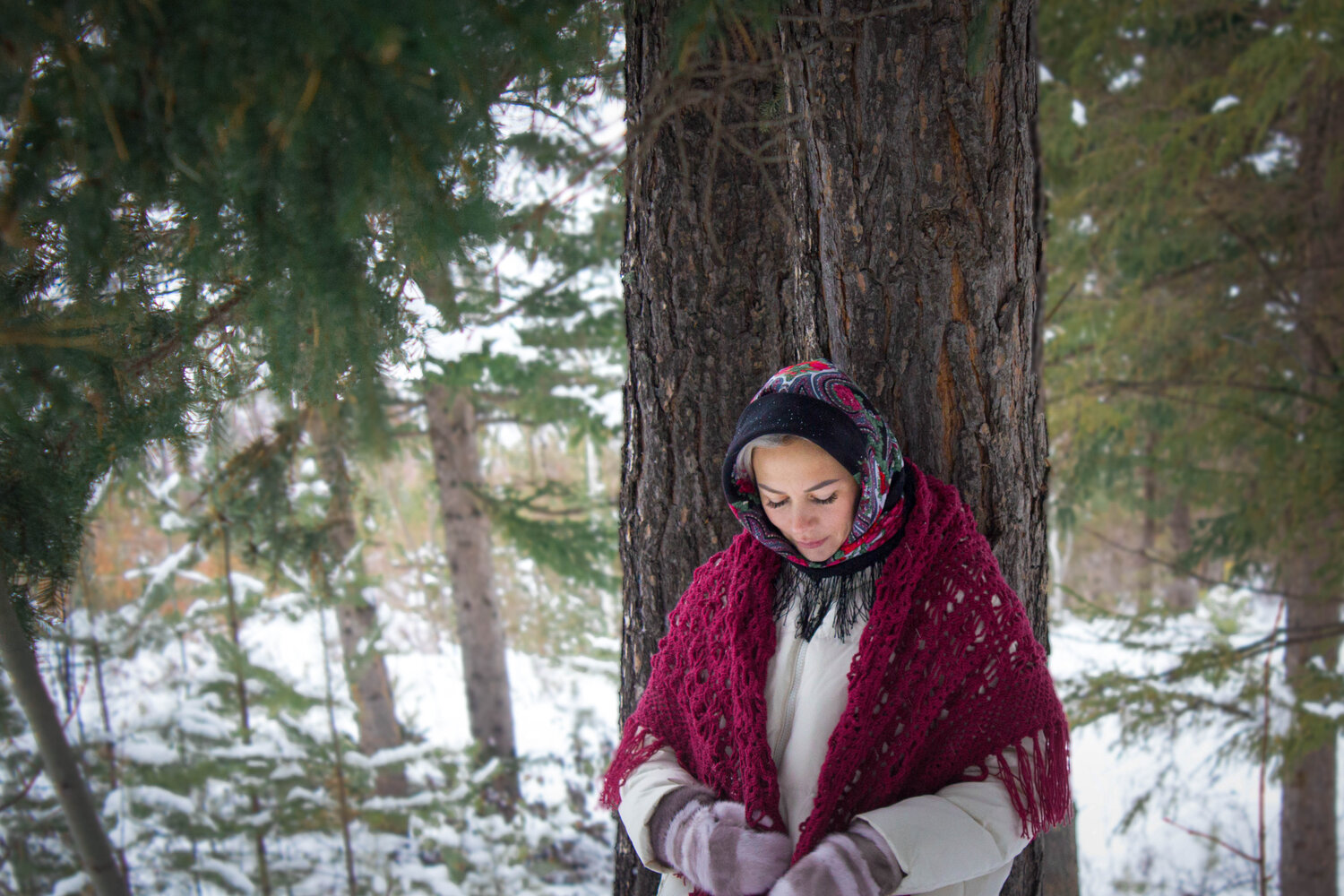 Photo #6384349