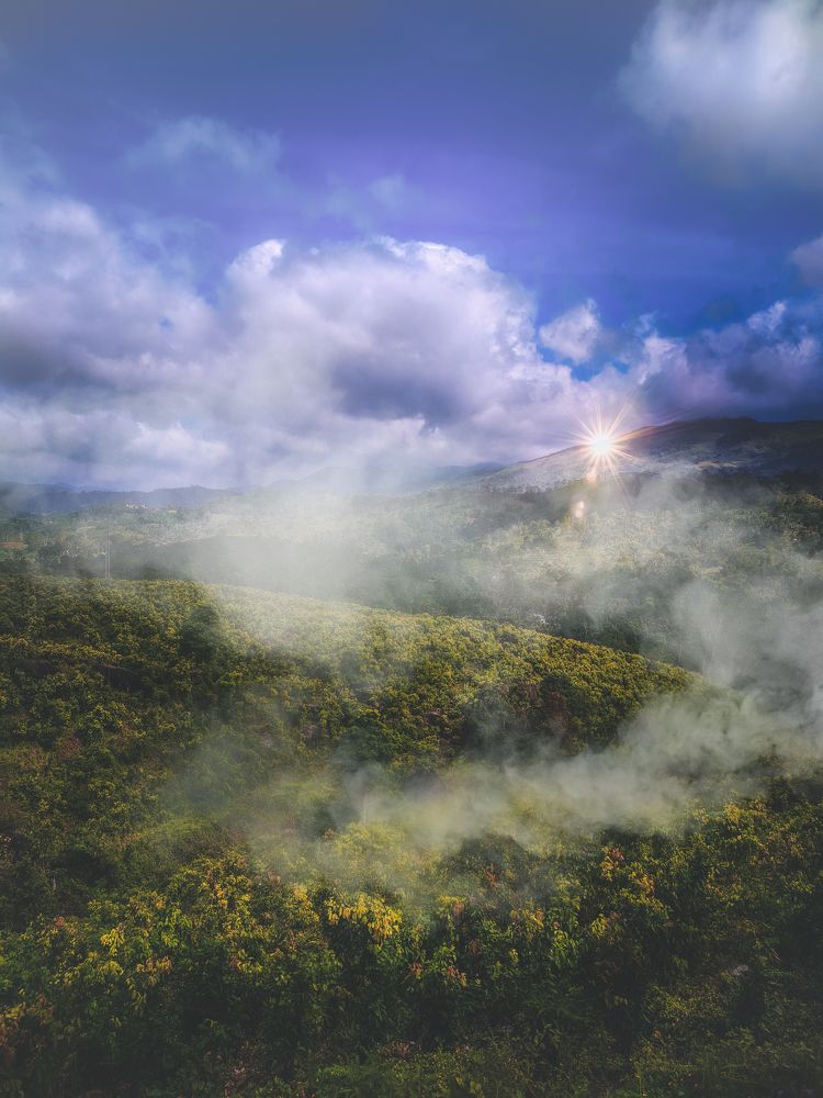 Photograph by Hewage K-vin R