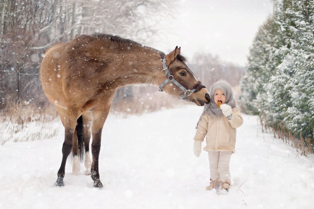 Photograph by Екатерина Сторожук