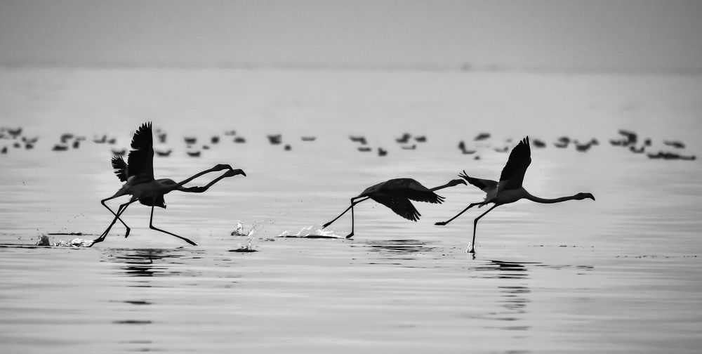 Photograph by Vishal Parmar