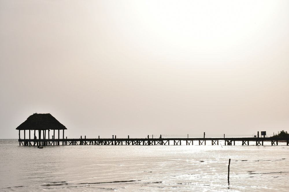 Photograph by Fernando Sileo